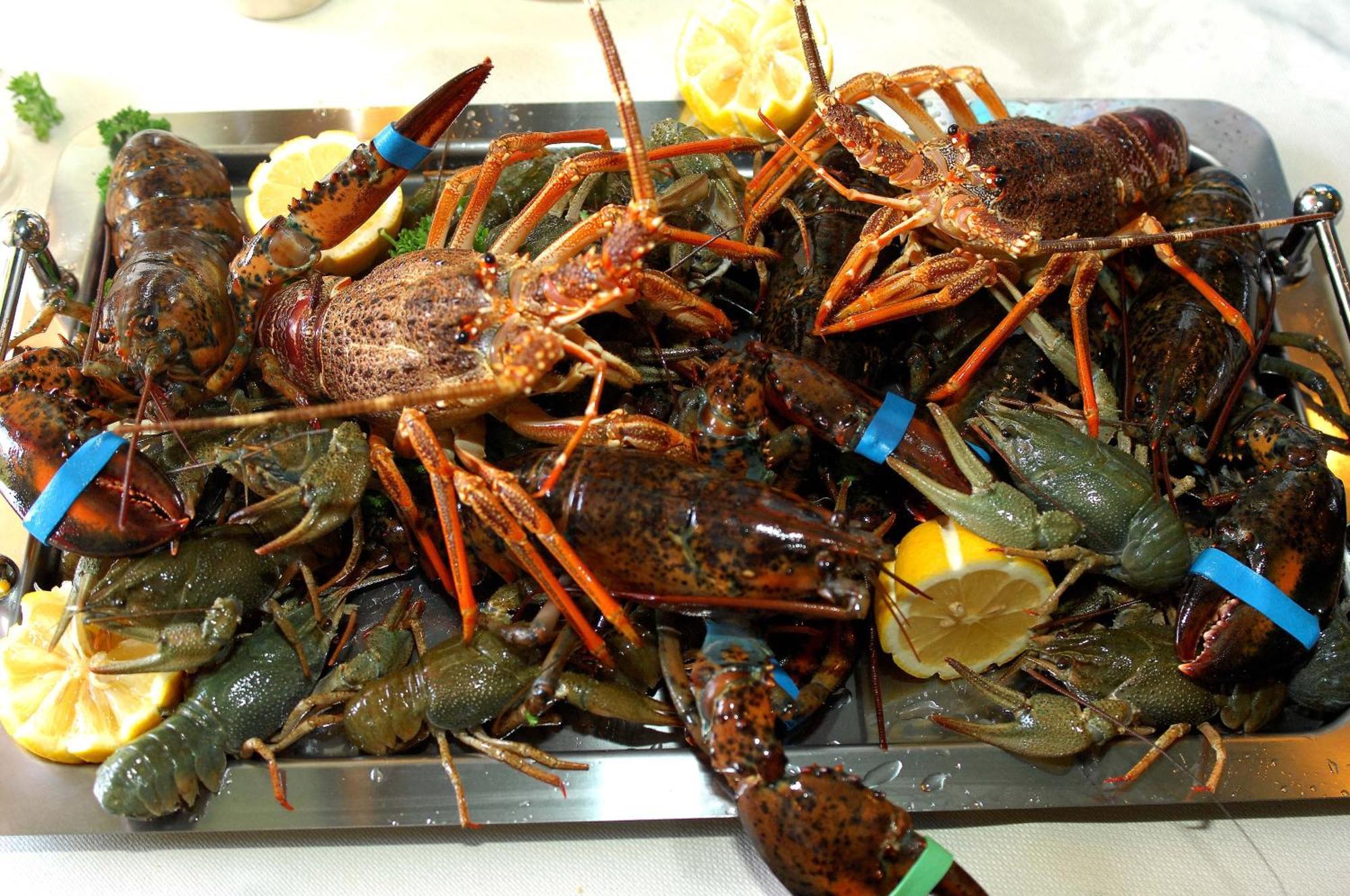 Royal Hotel-restaurant Bonhomme Hotel